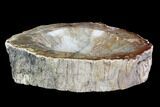 Polished Madagascar Petrified Wood Dish - Madagascar #96078-1